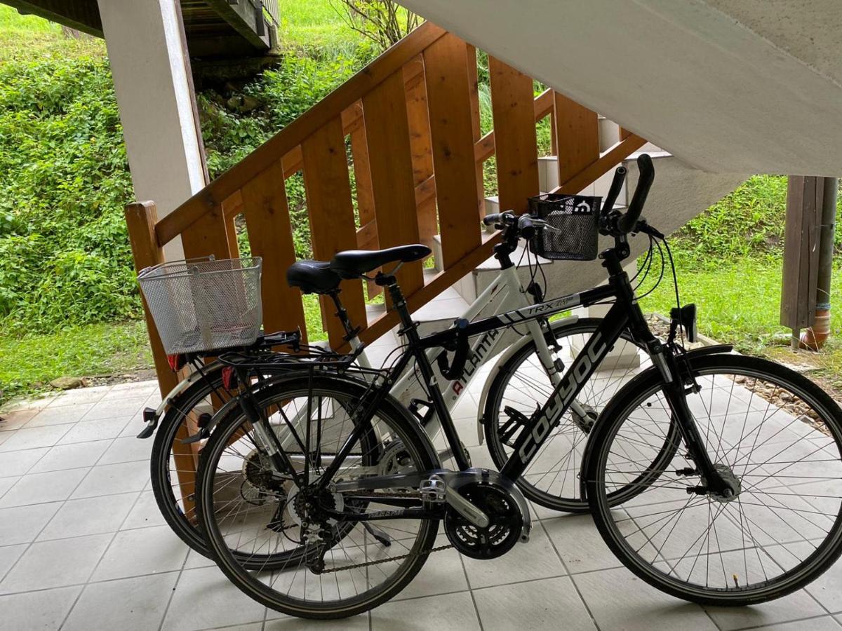 Geschmackvolles Appartement Am Donauradweg Obernzell Экстерьер фото